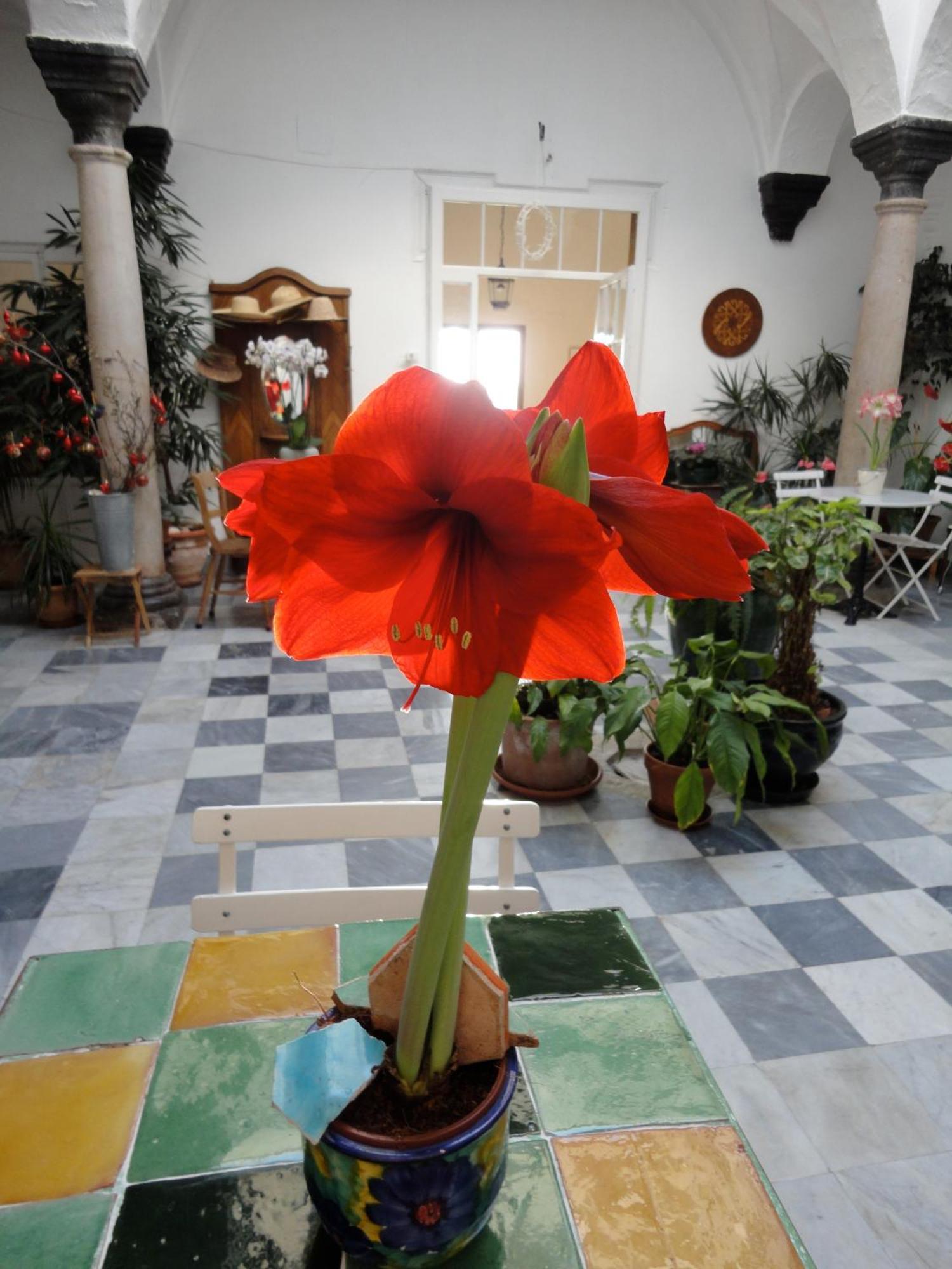 La Casa Grande Hotel Arcos de la Frontera Luaran gambar