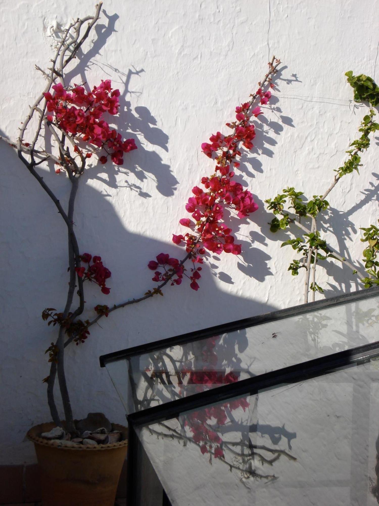 La Casa Grande Hotel Arcos de la Frontera Luaran gambar